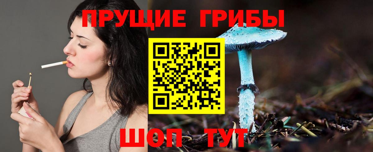 Псилоцибиновые грибы Psilocybine cubensis  Вход с VPN  Псилоцибиновые грибы Psilocybe  Минеральные Воды 